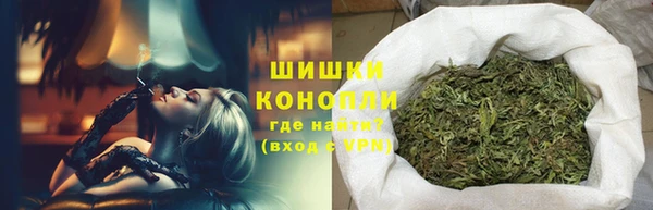 PSILOCYBIN Абаза