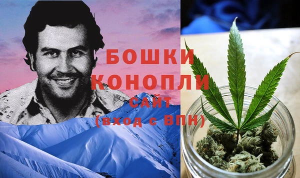 PSILOCYBIN Абаза