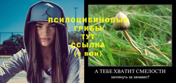PSILOCYBIN Абаза
