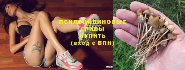 PSILOCYBIN Абаза