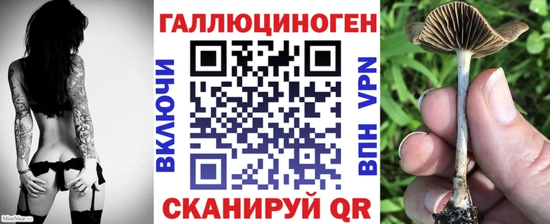 Псилоцибиновые грибы мицелий  Судогда 